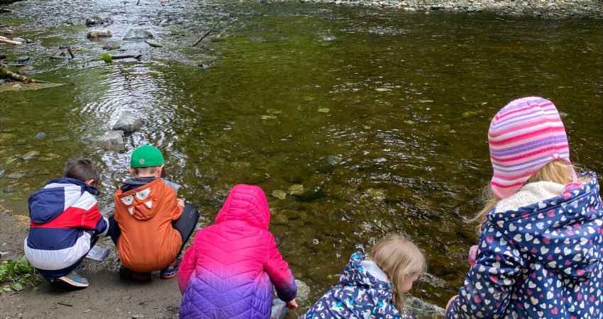 Students from Ms. Chant’s and Ms. Ewart’s classes took a school bus to Goldstream River to release about 200 chum salmon!
