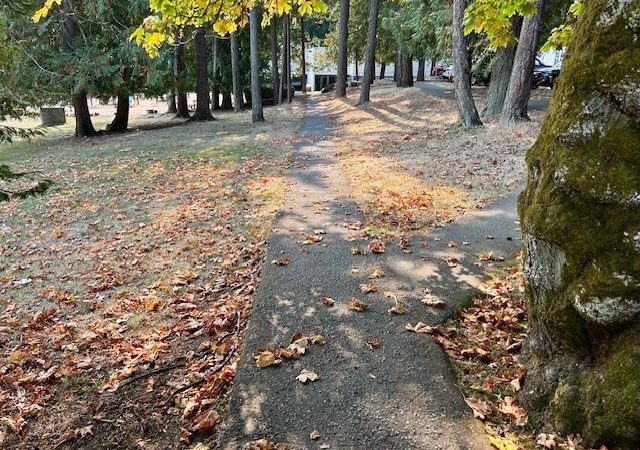 Fall at Frank Hobbs