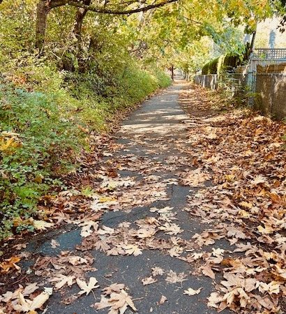 The pathway to Frank Hobbs