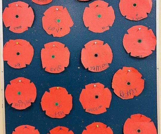 Poppies for Remembrance Day